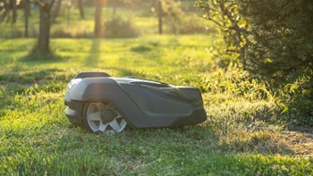 Robot tondeuse dans un jardin